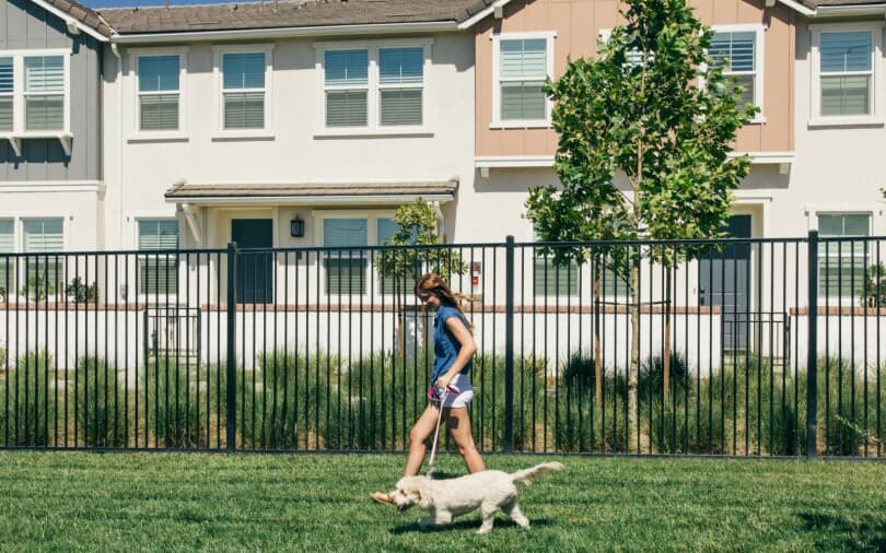 Girl walking her dog at Paws Park at New Haven in Ontario Ranch CA 810x506