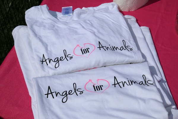 Paws in the Park Event