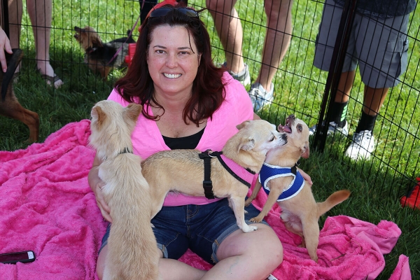 Paws in the Park Event
