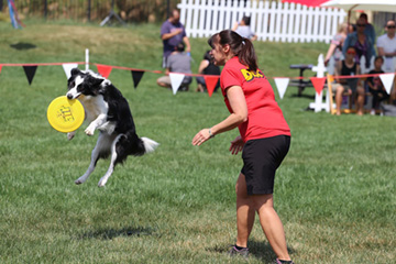 Paws in the Park Event